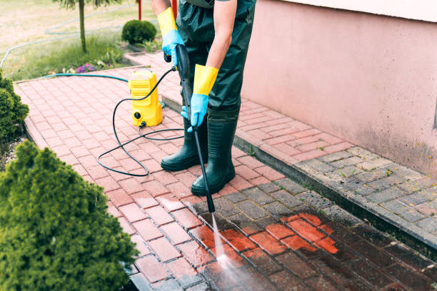 Best Driveway Pressure Washing  in Snow Hill, NC